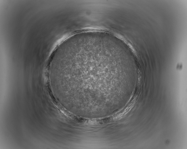 X0000099291357200805161315