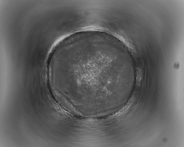 X0000099291358200805161315