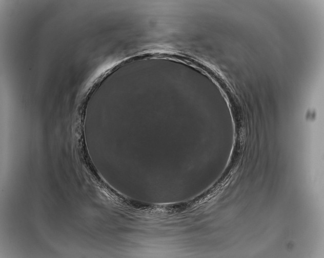 X0000099291359200805161315