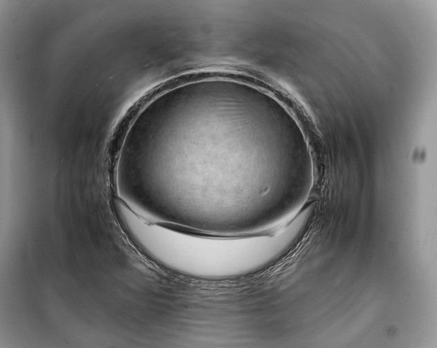 X0000099291360200805161315