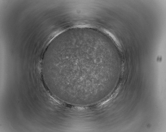 X0000099291361200805161315