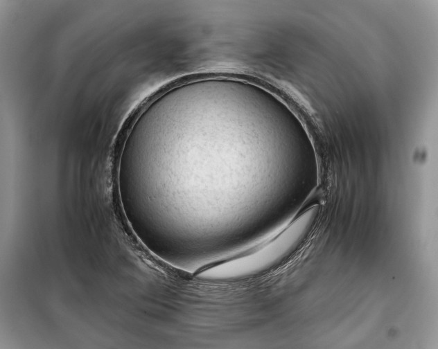 X0000099291364200805161315