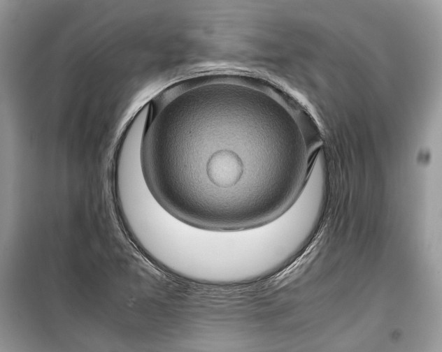 X0000099291365200805161315