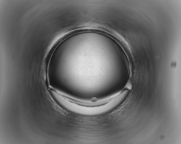 X0000099291368200805161315