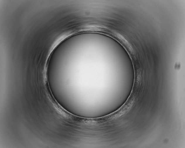 X0000099291370200805161315