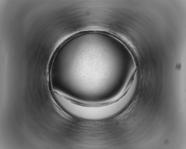 X0000099291372200805161315