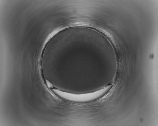 X0000099291373200805161315