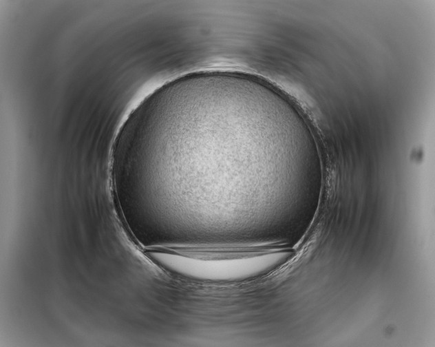 X0000099291374200805161315