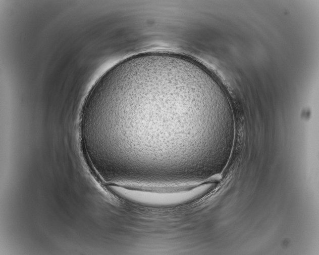 X0000099291375200805161315