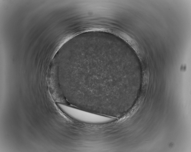 X0000099291377200805161315