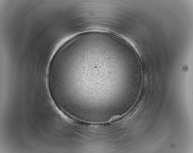 X0000099291379200805161315