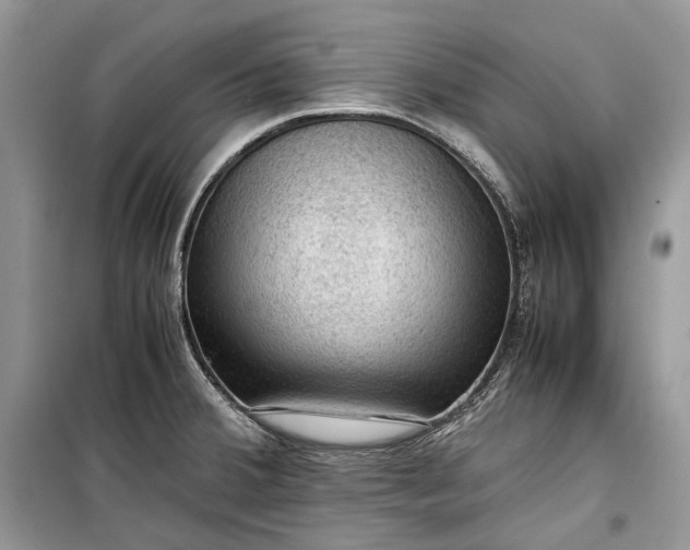 X0000099291380200805161315