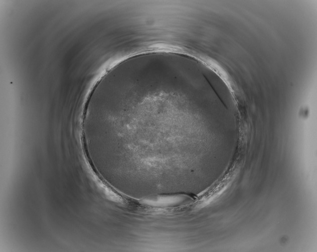 X0000099291381200805161315