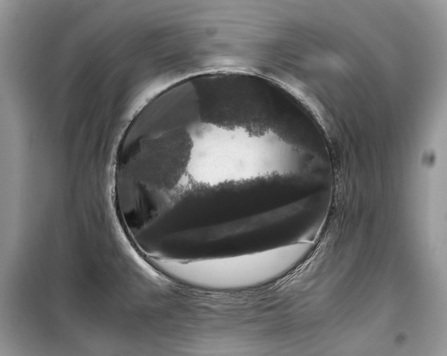 X0000099291383200805161315