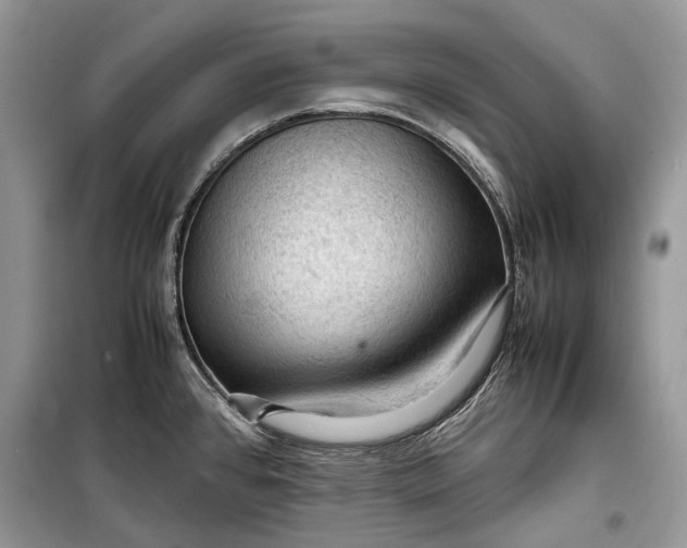 X0000099291384200805161315