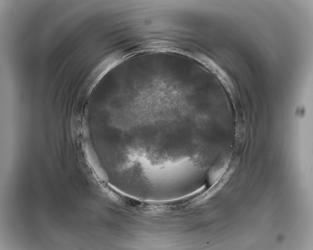 X0000099291385200805161315