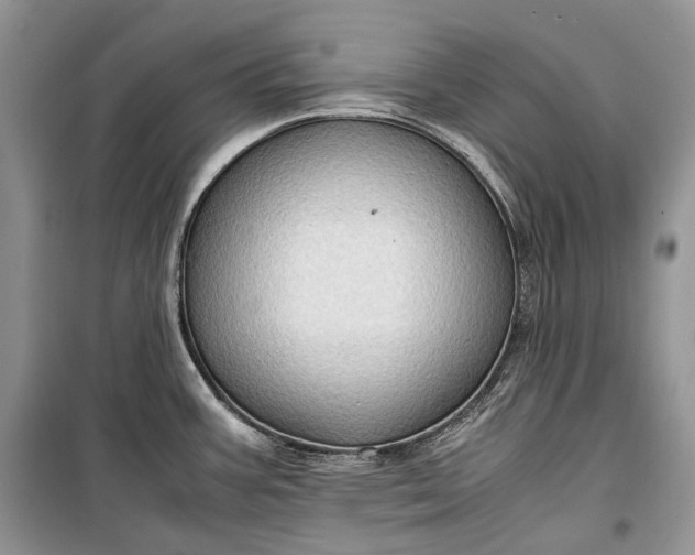 X0000099291387200805161315