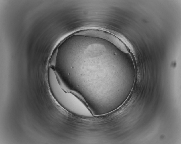 X0000099291388200805161315