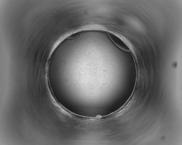 X0000099291390200805161315