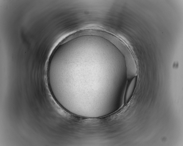 X0000099291392200805161315