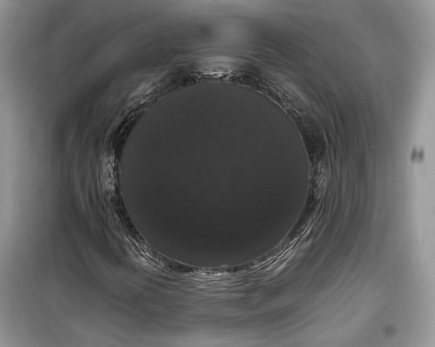 X0000099291394200805161314