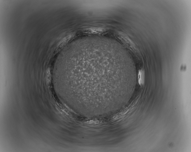 X0000099291395200805161314