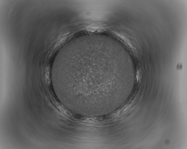 X0000099291396200805161314