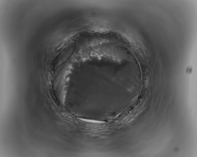 X0000099291397200805161314