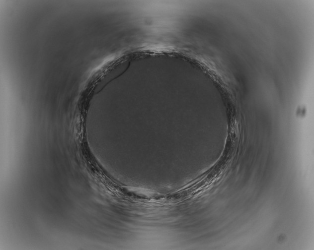 X0000099291398200805161314