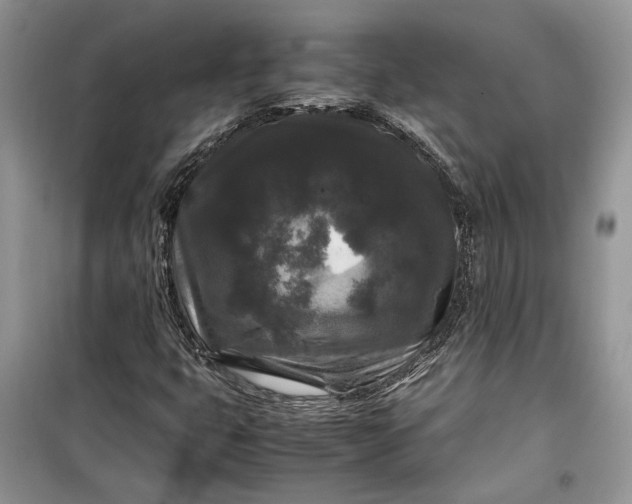 X0000099291399200805161314