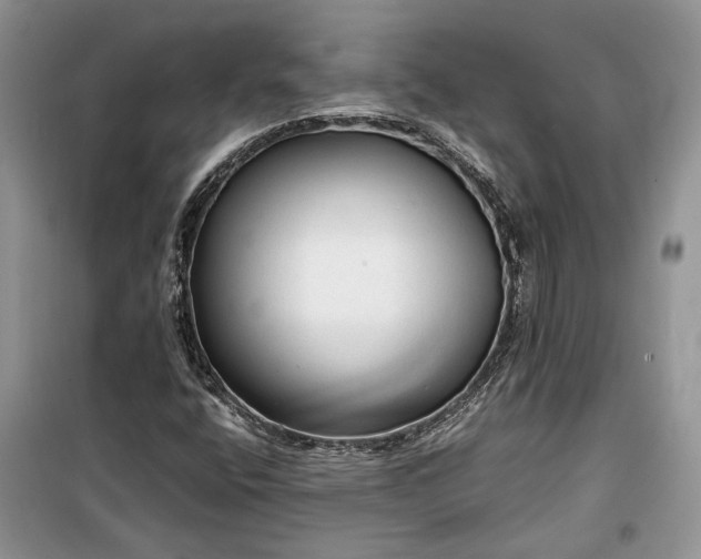 X0000099291400200805161314