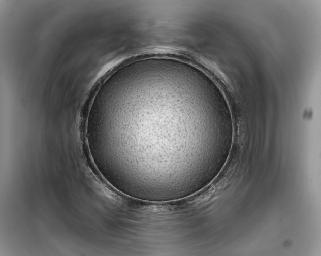 X0000099291404200805161314