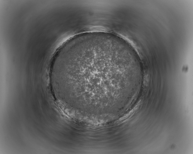 X0000099291407200805161314