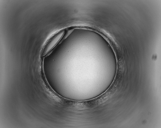 X0000099291408200805161314