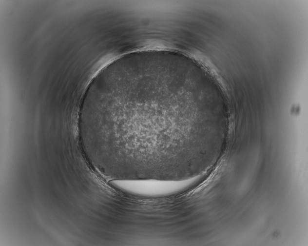 X0000099291409200805161314