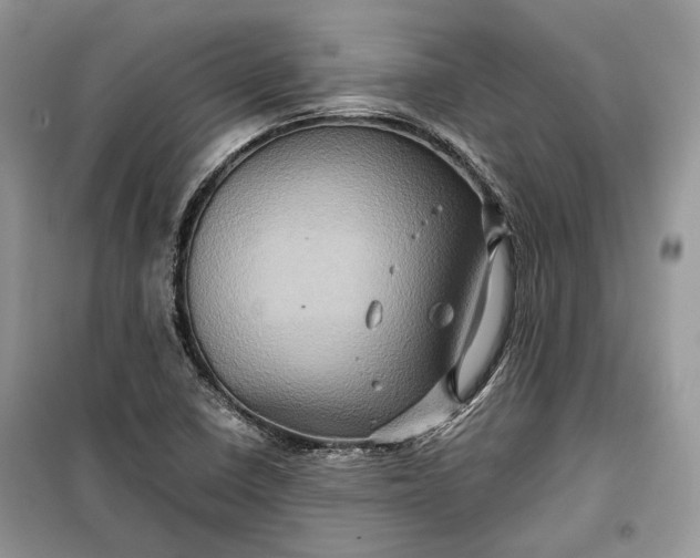 X0000099291410200805161314