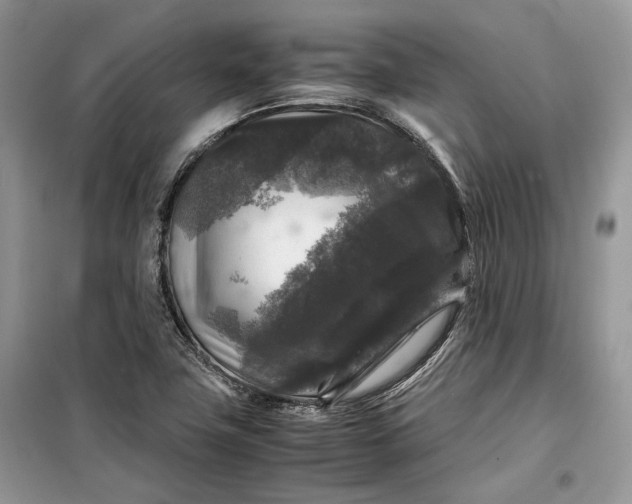 X0000099291411200805161314