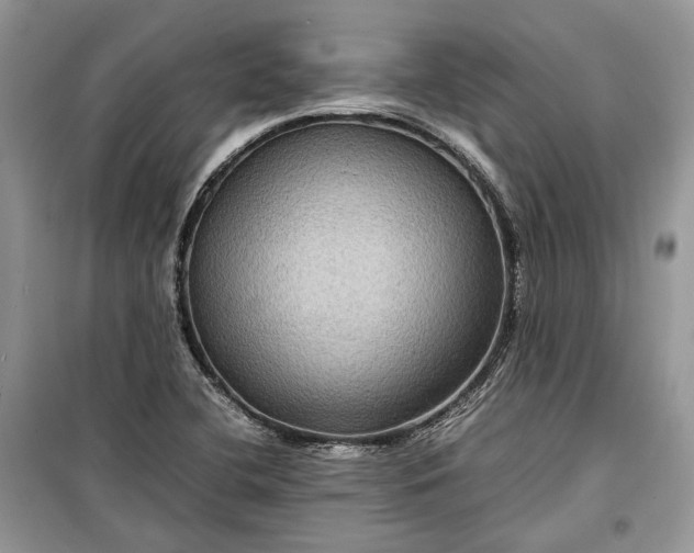 X0000099291412200805161314