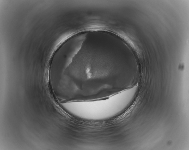 X0000099291413200805161314