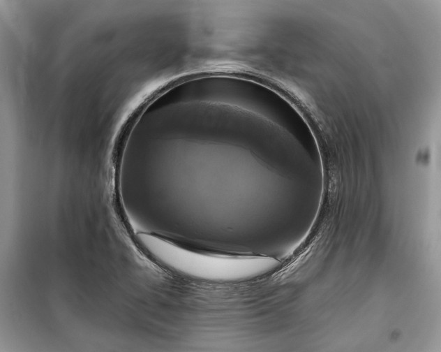 X0000099291414200805161314