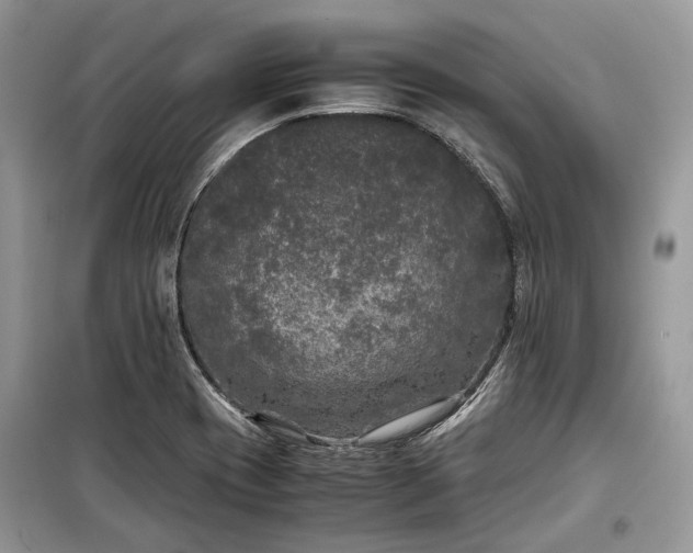 X0000099291417200805161314