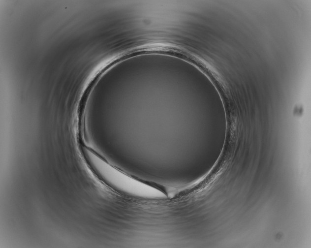 X0000099291418200805161314