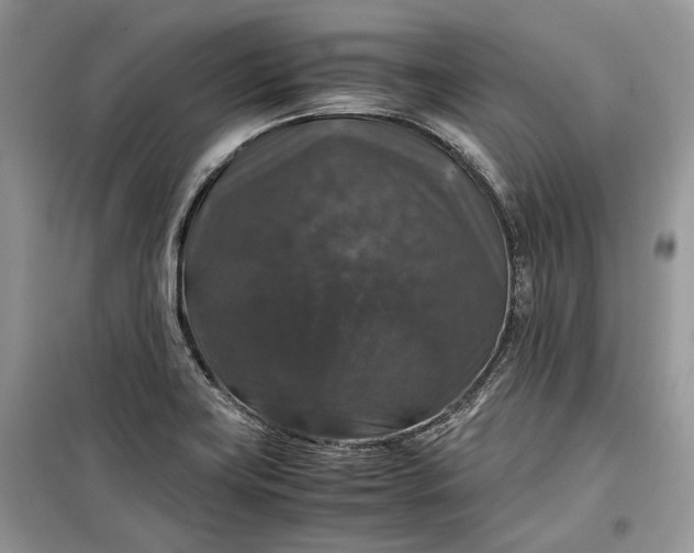 X0000099291419200805161315