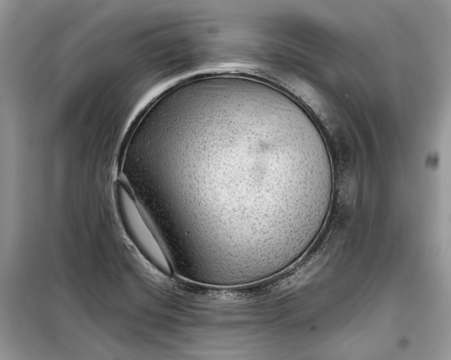 X0000099291420200805161315