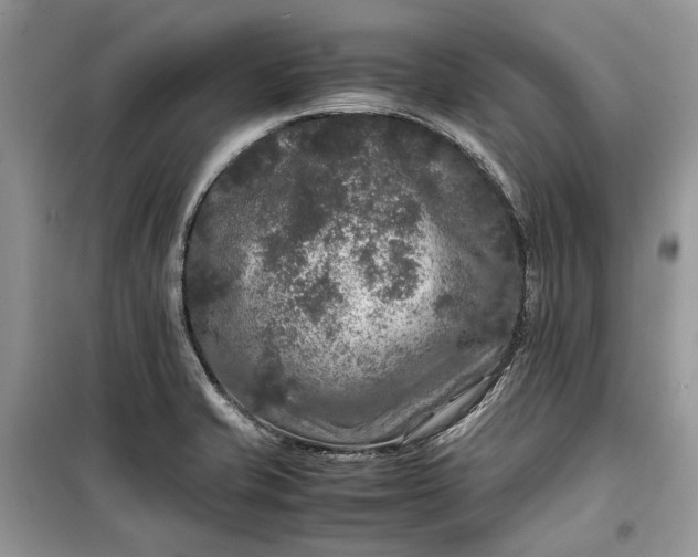 X0000099291421200805161315