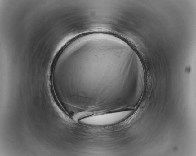 X0000099291422200805161315