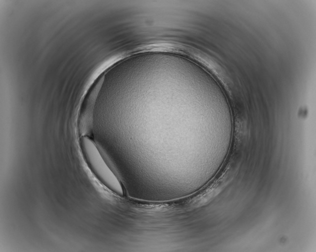 X0000099291426200805161315