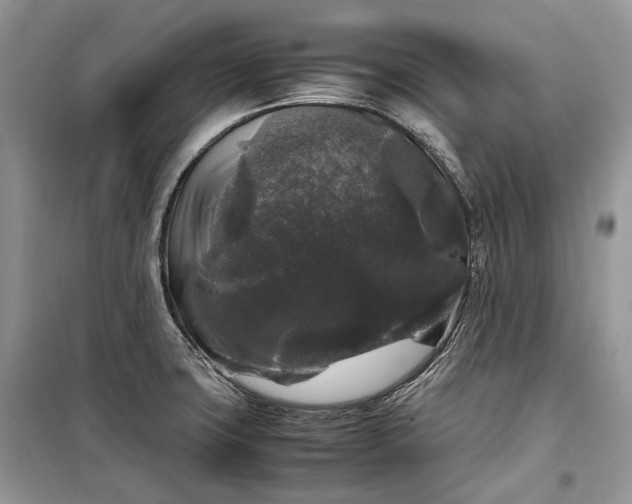 X0000099291427200805161315