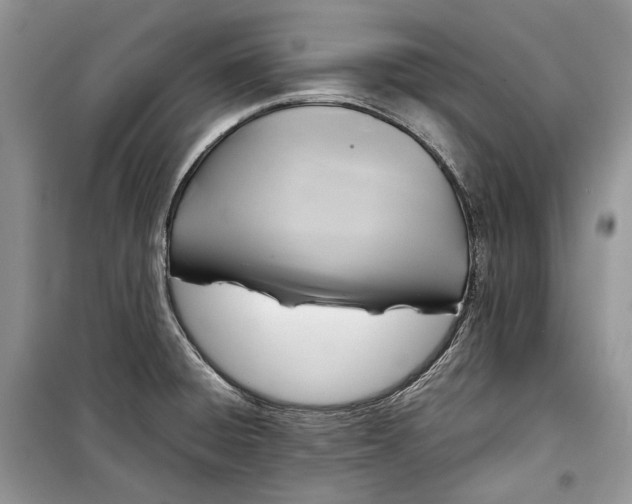 X0000099291428200805161315