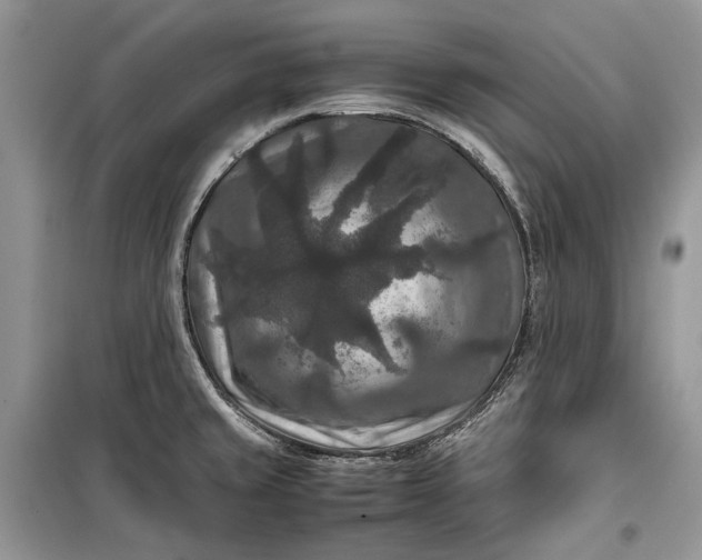 X0000099291429200805161315